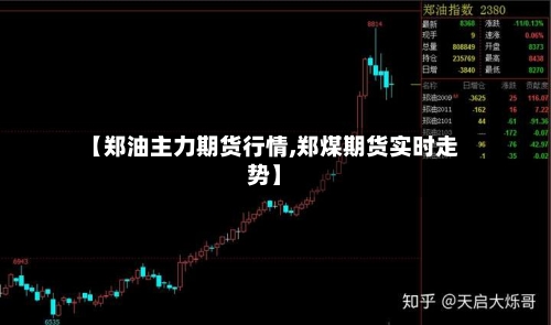 【郑油主力期货行情,郑煤期货实时走势】
