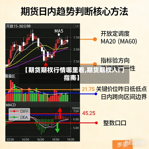 【期货期权行情哪里看,期货期权入门指南】
