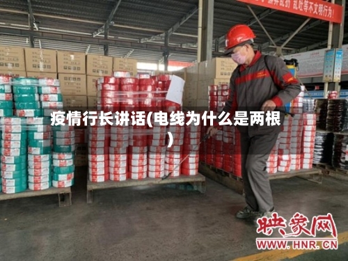 疫情行长讲话(电线为什么是两根)-第2张图片