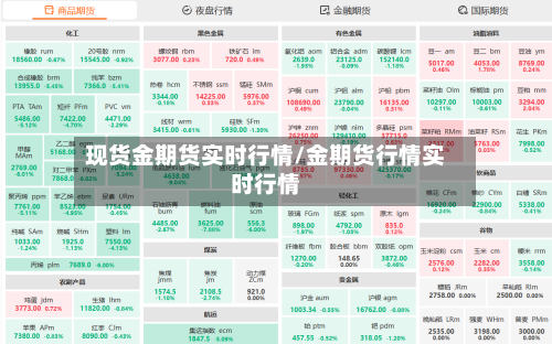 现货金期货实时行情/金期货行情实时行情-第3张图片