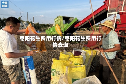 枣阳花生费用行情/枣阳花生费用行情查询-第3张图片