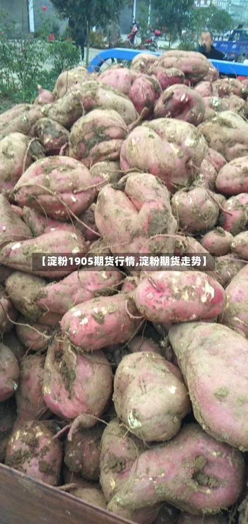 【淀粉1905期货行情,淀粉期货走势】