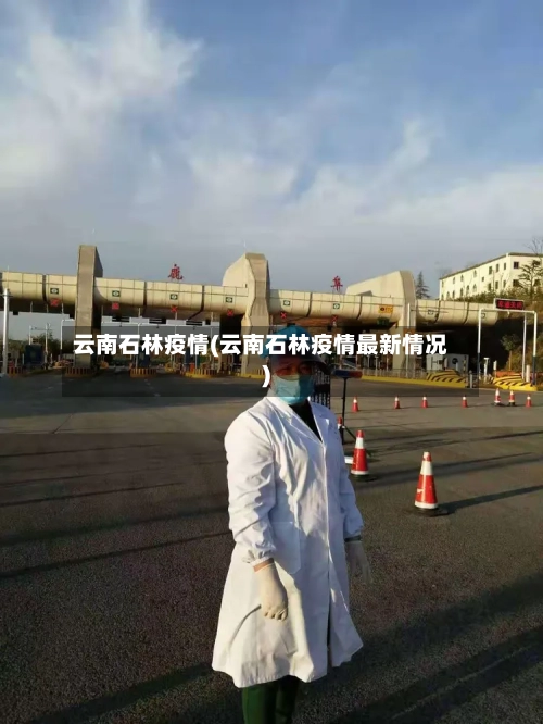 云南石林疫情(云南石林疫情最新情况)-第3张图片