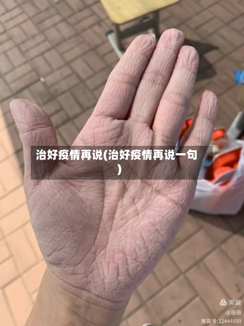 治好疫情再说(治好疫情再说一句)-第2张图片