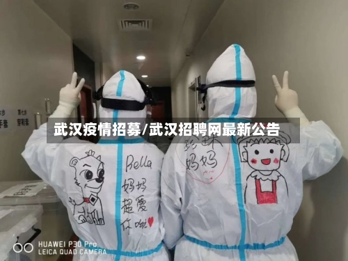 武汉疫情招募/武汉招聘网最新公告-第2张图片