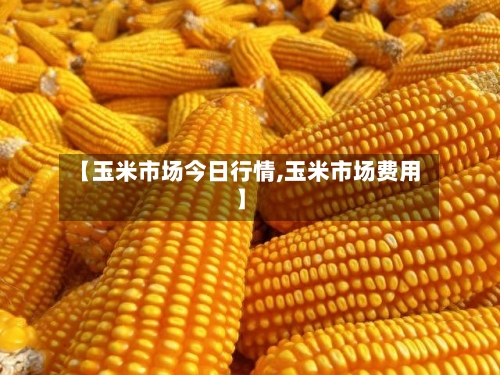 【玉米市场今日行情,玉米市场费用】-第2张图片