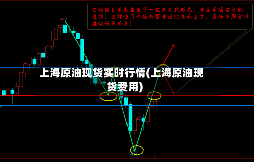 上海原油现货实时行情(上海原油现货费用)