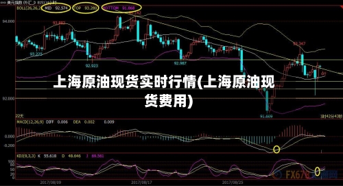 上海原油现货实时行情(上海原油现货费用)-第2张图片