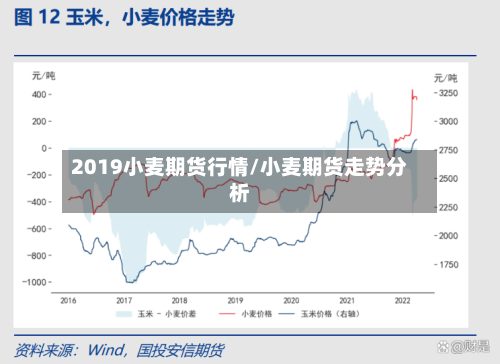 2019小麦期货行情/小麦期货走势分析-第3张图片