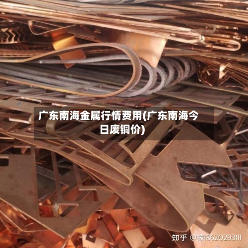 广东南海金属行情费用(广东南海今日废铜价)-第2张图片
