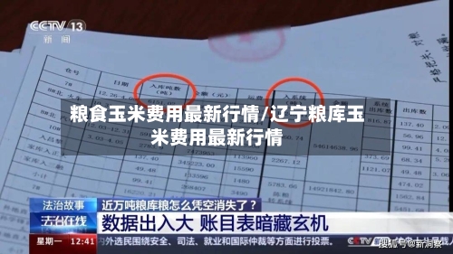 粮食玉米费用最新行情/辽宁粮库玉米费用最新行情-第2张图片