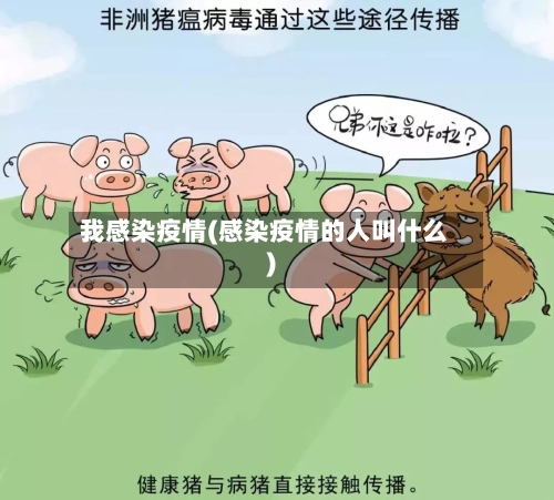 我感染疫情(感染疫情的人叫什么)