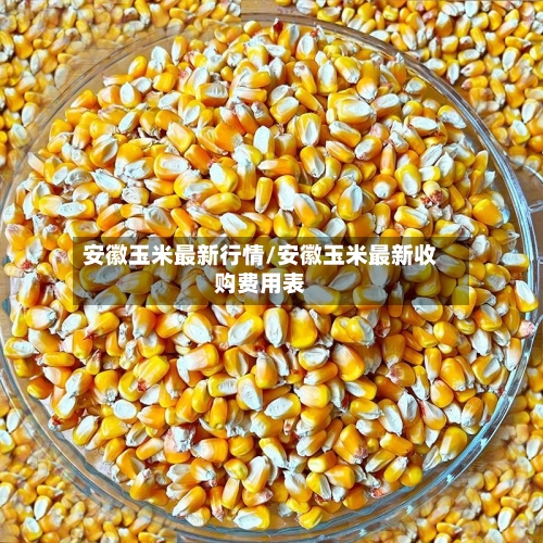 安徽玉米最新行情/安徽玉米最新收购费用表-第2张图片