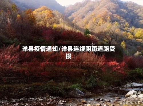 洋县疫情通知/洋县连续阴雨道路受损-第2张图片