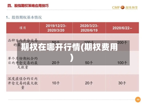 期权在哪开行情(期权费用)