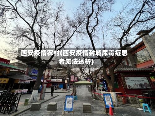 西安疫情农村(西安疫情封城尿毒症患者无法透析)-第3张图片