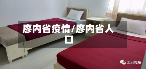 廖内省疫情/廖内省人口-第2张图片