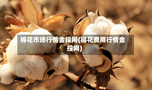 棉花市场行情金投网(棉花费用行情金投网)-第2张图片
