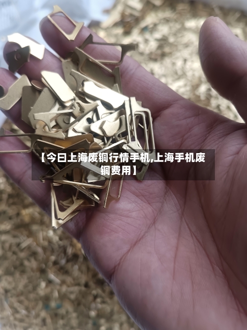 【今曰上海废铜行情手机,上海手机废铜费用】