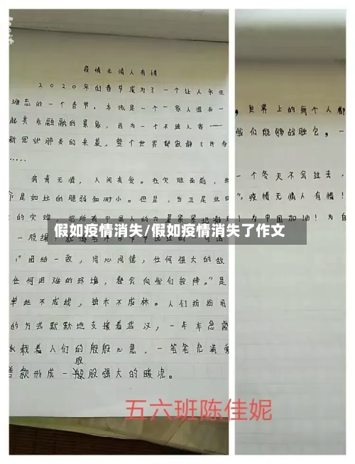 假如疫情消失/假如疫情消失了作文