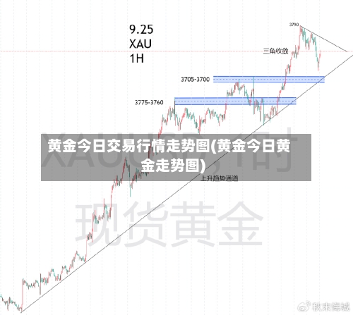 黄金今日交易行情走势图(黄金今日黄金走势图)