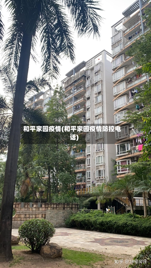 和平家园疫情(和平家园疫情防控电话)-第3张图片