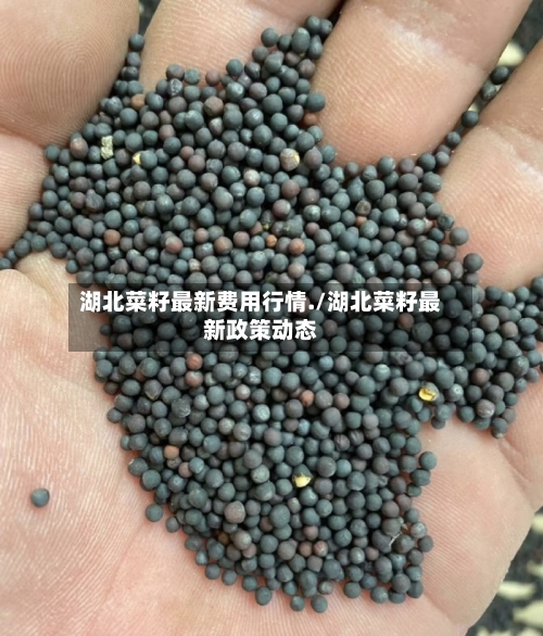 湖北菜籽最新费用行情./湖北菜籽最新政策动态-第2张图片
