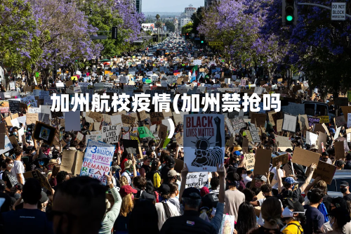 加州航校疫情(加州禁抢吗)-第3张图片