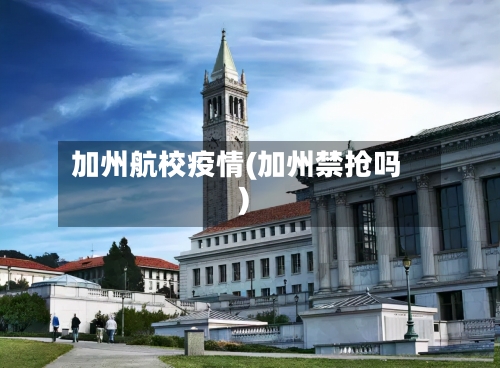 加州航校疫情(加州禁抢吗)-第2张图片