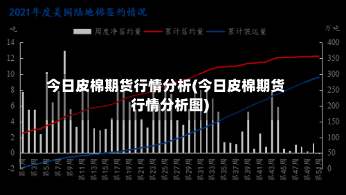 今日皮棉期货行情分析(今日皮棉期货行情分析图)-第2张图片