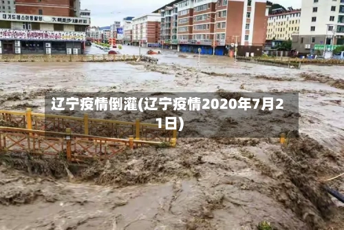 辽宁疫情倒灌(辽宁疫情2020年7月21日)-第2张图片