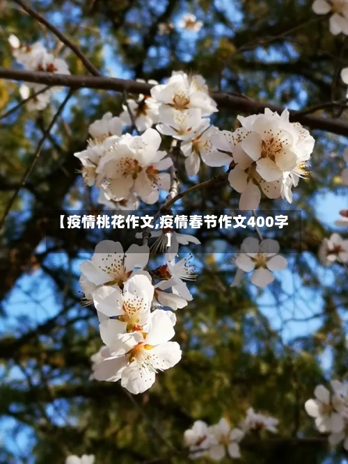 【疫情桃花作文,疫情春节作文400字】