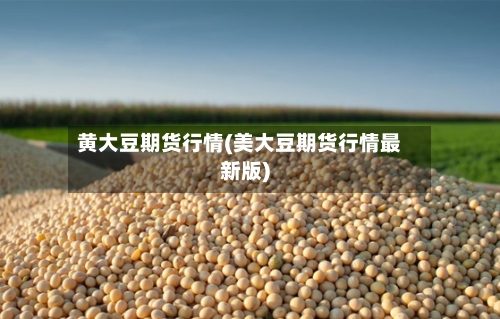 黄大豆期货行情(美大豆期货行情最新版)