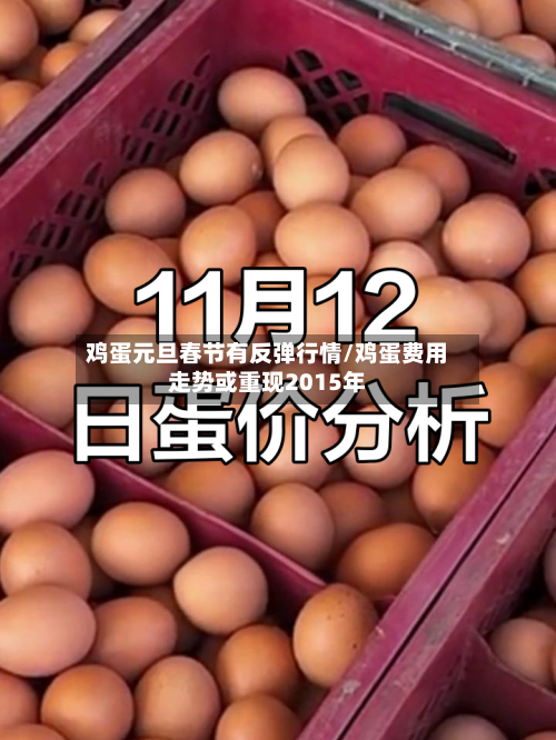 鸡蛋元旦春节有反弹行情/鸡蛋费用走势或重现2015年-第2张图片