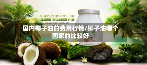 国内椰子油的费用行情/椰子油哪个国家的比较好