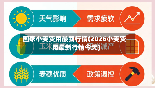 国家小麦费用最新行情(2026小麦费用最新行情今天)-第2张图片