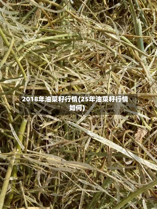 2018年油菜籽行情(25年油菜籽行情如何)