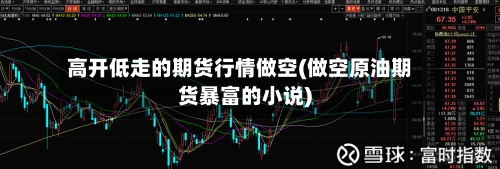 高开低走的期货行情做空(做空原油期货暴富的小说)