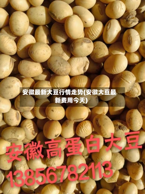 安徽最新大豆行情走势(安徽大豆最新费用今天)-第3张图片