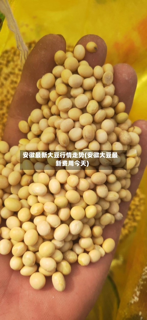 安徽最新大豆行情走势(安徽大豆最新费用今天)