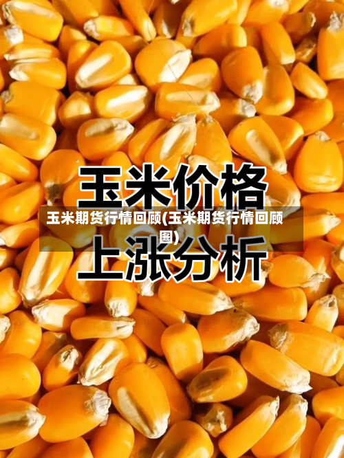 玉米期货行情回顾(玉米期货行情回顾图)-第2张图片