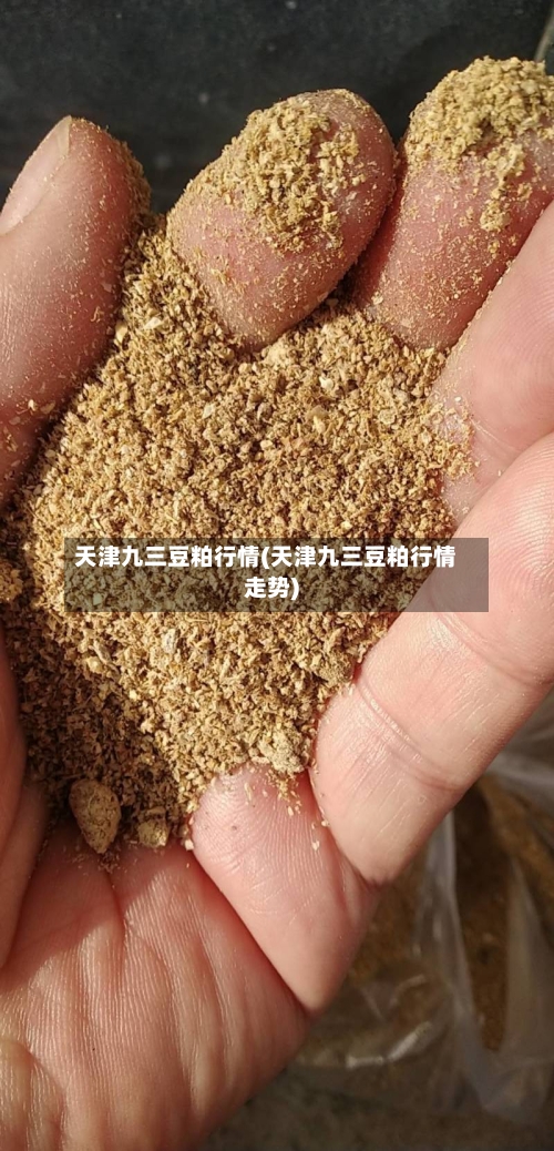 天津九三豆粕行情(天津九三豆粕行情走势)-第2张图片