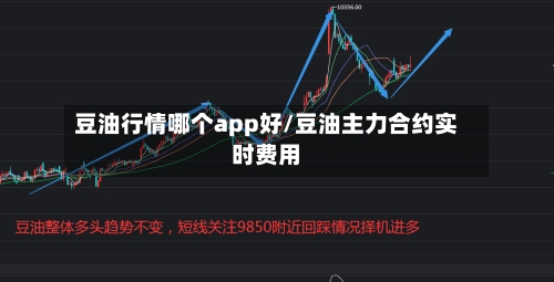 豆油行情哪个app好/豆油主力合约实时费用