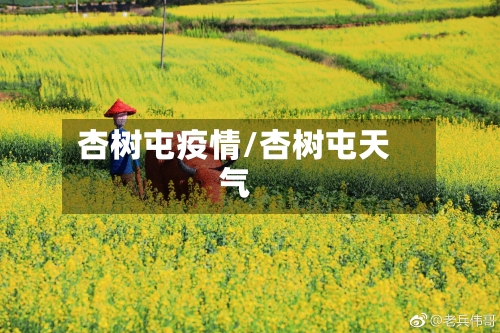 杏树屯疫情/杏树屯天气-第2张图片