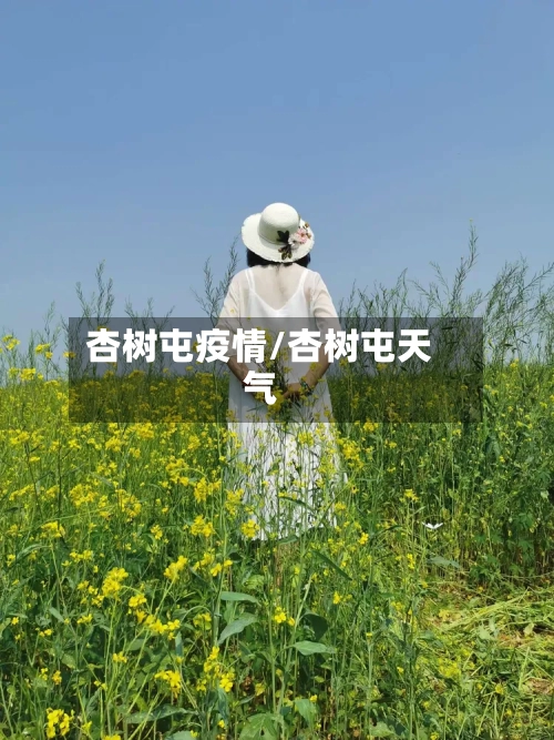 杏树屯疫情/杏树屯天气