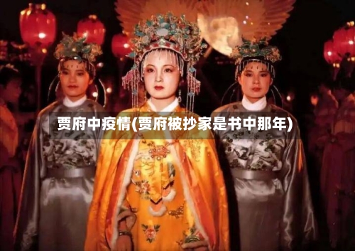 贾府中疫情(贾府被抄家是书中那年)-第2张图片
