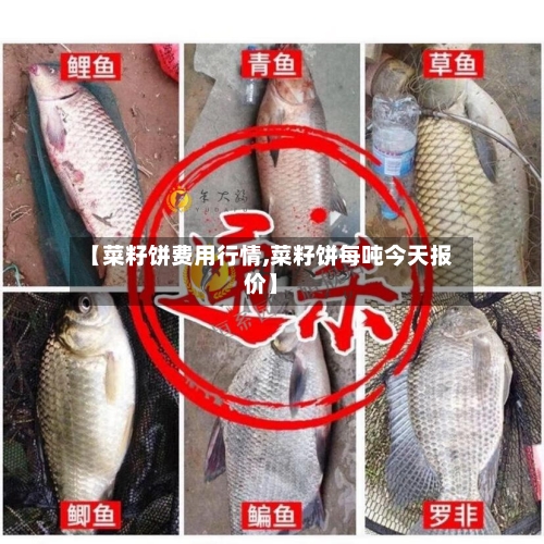 【菜籽饼费用行情,菜籽饼每吨今天报价】-第2张图片