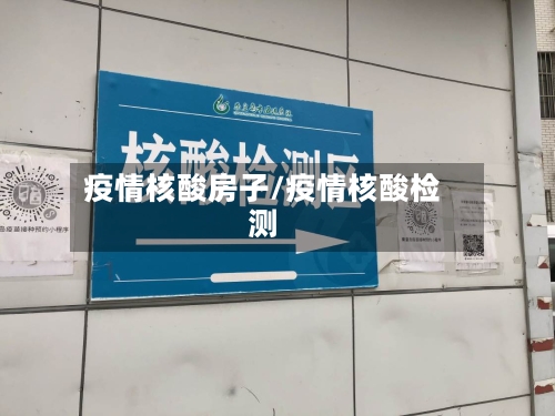 疫情核酸房子/疫情核酸检测-第2张图片