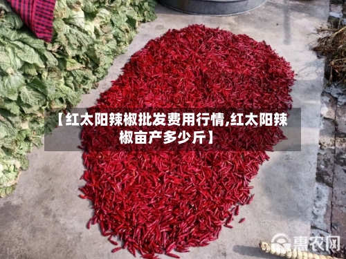 【红太阳辣椒批发费用行情,红太阳辣椒亩产多少斤】
