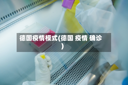 德国疫情模式(德国 疫情 确诊)-第2张图片